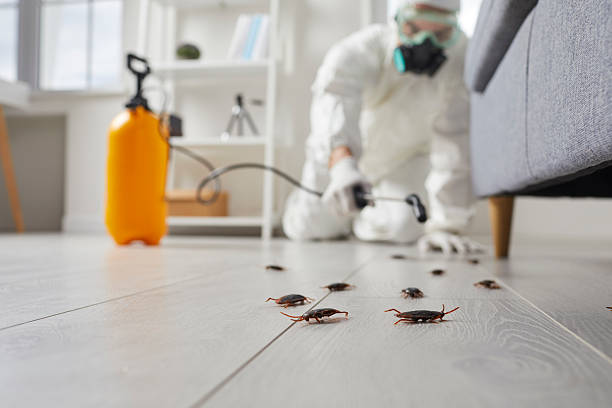 Trusted Cockroach Control service in Atwood, TN - Nex Pest Control